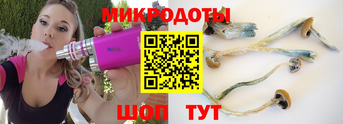 Феодосия  Псилоцибиновые грибы MAGIC MUSHROOMS  Вход с VPN 